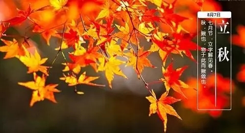 ���������ת��������Ҫ������ǰ���٣�